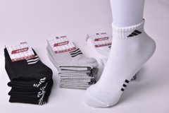 Шкарпетки жіночі Бавовняні (Арт. ME3130/23-25) | 12 пар
