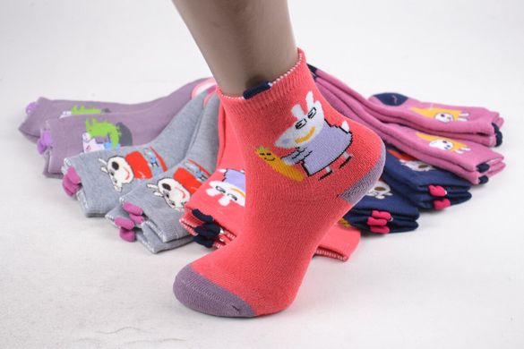 Шкарпетки дитячі на дівчинку Махра бавовна (FEC3703-1/25-30) | 10 пар