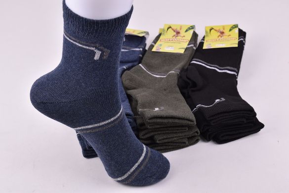 Шкарпетки дитячі на хлопчика "Житомир" бавовна (Арт. OAM441/20-22) | 12 пар