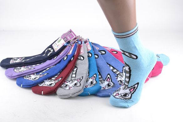 Жіночі шкарпетки "Кішки" МАХРА БАМБУК (Aрт. PT2801) | 12 пар
