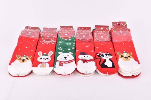 Шкарпетки дитячі Merry Christmas "AURA" COTTON (Арт. SGP7821) | 30 пар