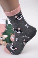 Шкарпетки жіночі з малюнком "Aura" COTTON (Арт. NZC6570/35-38) | 5 пар