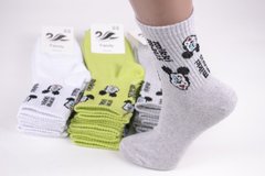 Жіночі шкарпетки "ЖИТОМИР" COTTON (Арт. AK832) | 12 пар
