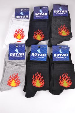 Чоловічі шкарпетки з малюнком ХЛОПОК (Арт. PT297) | 12 пар