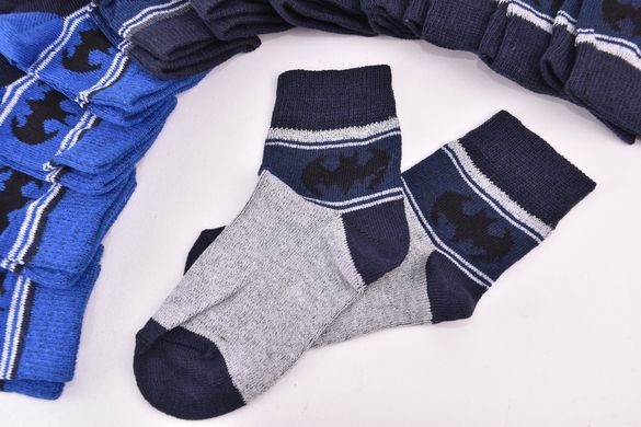 Шкарпетки дитячі на хлопчика "Житомир" МАХРА (Арт. OAM417/12-14) | 12 пар