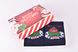 Носки мужские "Merry Christmas" в подарочной упаковке МАХРА (Арт. Y104/4) | 1 компл.