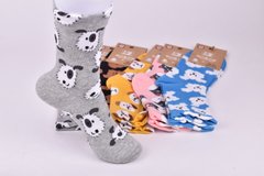 Шкарпетки жіночі з малюнком "AURA" COTTON (Арт. NZ7578) | 30 пар