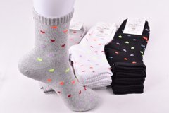 Шкарпетки жіночі "Житомир" бавовна (Арт. OAM294) | 12 пар