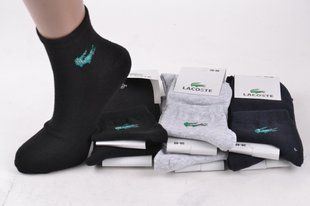 Жіночі шкарпетки "Lacoste" Cotton (Арт. Y512) | 12 пар
