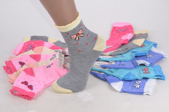 Дитячі шкарпетки на дівчинку з малюнком (Арт. C254/XS) | 12 пар