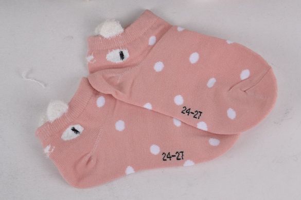 Шкарпетки дитячі занижені ХЛОПОК (Арт. D360/25-30) | 10 пар