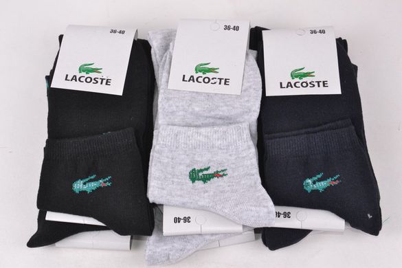 Женские носки "Lacoste" Cotton (Арт. Y512) | 12 пар