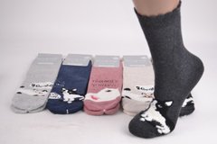 Жіночі шкарпетки "AURA" Махра Cotton (Арт. NV5720) | 30 пар