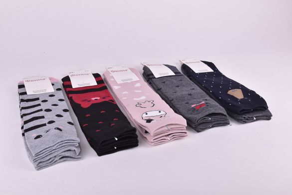 Шкарпетки жіночі "Фенна" ХЛОПОК (Арт. FEB08-1) | 10 пар