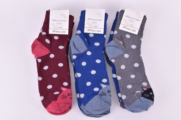 Шкарпетки жіночі "Житомир" бавовна (Арт. OAM048) | 12 пар