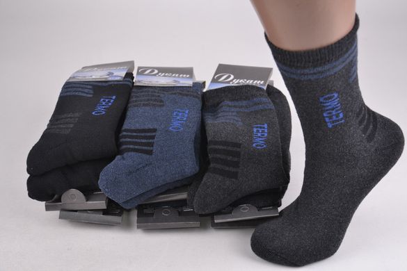 Чоловічі шкарпетки "Дукат" Махра бавовна (арт. PTM219) | 12 пар