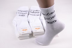 Жіночі шкарпетки "ЖИТОМИР" COTTON (Арт. AK841) | 12 пар