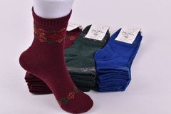 Шкарпетки жіночі "Житомир" бавовна (Арт. OAM437) | 12 пар