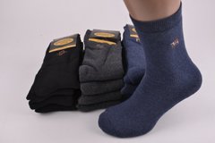 Чоловічі шкарпетки Махра бавовна (Y031/6) | 12 пар