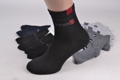 Підліткові шкарпетки "КОРОНА" Бавовна (Арт. LKC3110-1) | 12 пар
