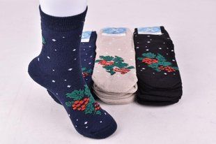 Носки женские с рисунком "Житомир" МАХРА COTTON (Арт. AK1038) | 12 пар
