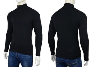 Гольф на флісі однотонний (Арт. TD 1050/Black) | 6 шт.