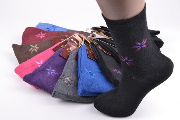Жіночі шкарпетки "JuJube" Бавовна Махра (Арт. A121-20) | 12 пар