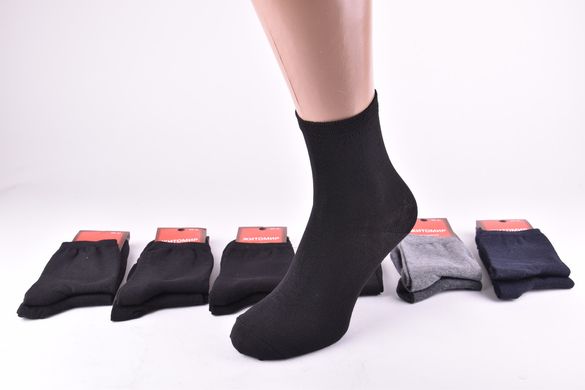 Шкарпетки підліткові однотонні "Житомир" ХЛОПОК (Арт. PT005/38) | 12 пар