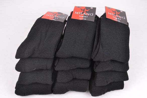 Чоловічі Махрові шкарпетки "COTTON" (арт. PTM0010/17) | 12 пар