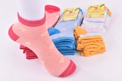Шкарпетки дитячі на дівчинку "Житомир" бавовна (Арт. OAM403/18-20) | 12 пар