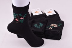 Шкарпетки жіночі "ЖИТОМИР" COTTON (Арт. AK797) | 12 пар