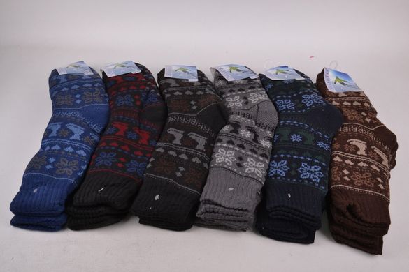 Чоловічі шкарпетки на хутрі з гальмами (Арт. HD3008) | 12 пар