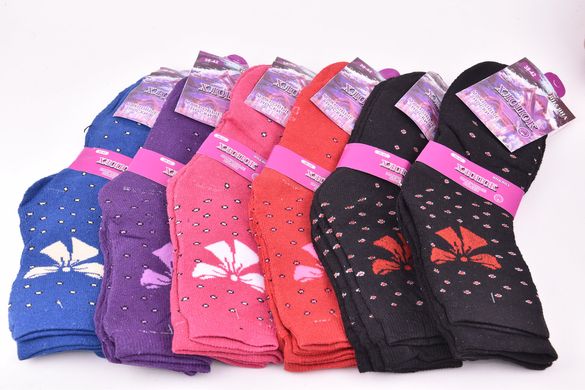 Шкарпетки жіночі з малюнком МАХРА бавовна (Арт. YD29) | 12 пар