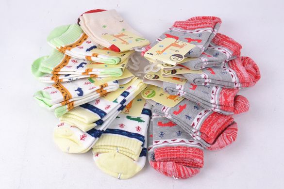 Шкарпетки дитячі Бавовняні з малюнком (Арт. PTC170/9-12) | 10 пар