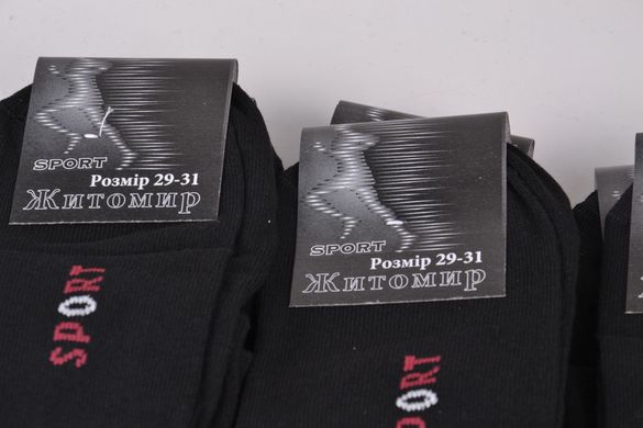 Шкарпетки чоловічі "Житомир" Sport (OK091/29-31) | 12 пар