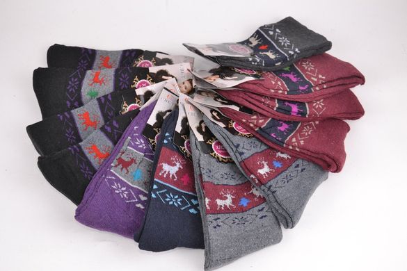 Жіночі Термо-Шкарпетки "МАХРА" бавовна (Арт. CS733) | 12 пар