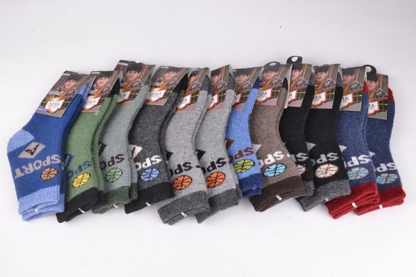Шкарпетки Вовняні на хлопчика (Арт. TKC720-9S) | 12 пар