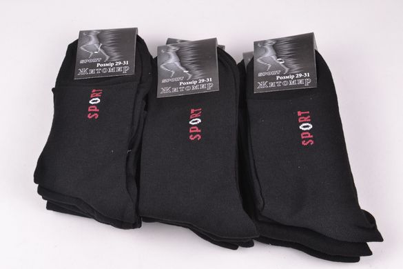 Шкарпетки чоловічі "Житомир" Sport (OK091/29-31) | 12 пар