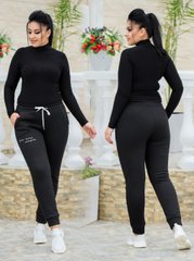 Спортивные штаны женские на флисе (Арт. KL377/N/Black)