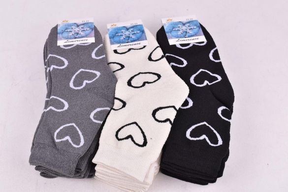 Носки женские с рисунком "Житомир" МАХРА COTTON (Арт. AK1034) | 12 пар
