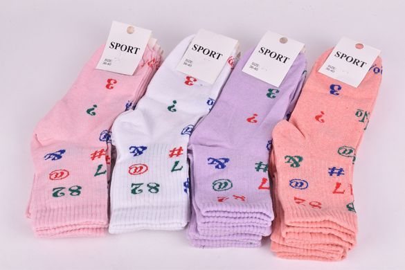 Шкарпетки жіночі "SPORT" COTTON (Арт. OAM474) | 12 пар