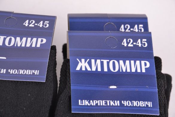 Чоловічі Махрові шкарпетки "ЖИТОМИР" (арт. PTM0010/9) | 12 пар