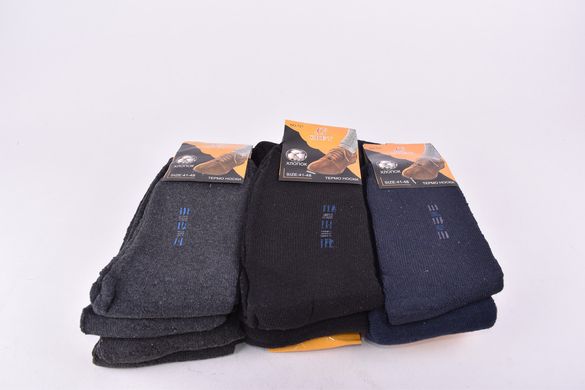 Шкарпетки чоловічі МАХРА бавовна (Арт. A721) | 12 пар