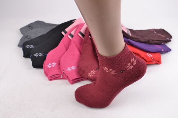 Жіночі термо-шкарпетки МАХРА бавовни (Арт. LKB2221) | 12 пар