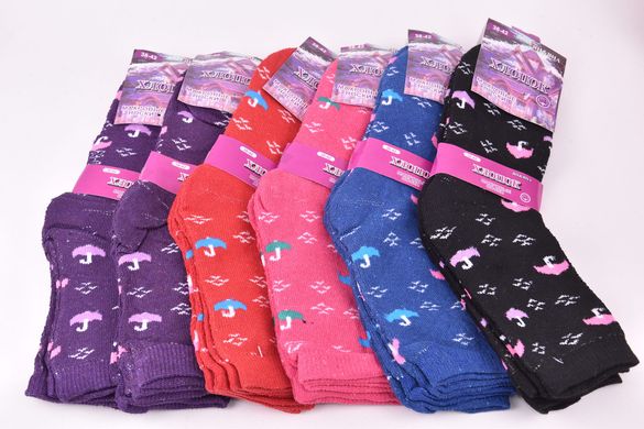 Шкарпетки жіночі з малюнком МАХРА бавовна (Арт. YD69) | 12 пар