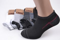 Шкарпетки чоловічі занижені "Фенна" ХЛОПОК (FEA10-3) | 10 пар