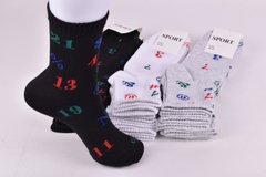 Шкарпетки жіночі "SPORT" COTTON (Арт. OAM475) | 12 пар