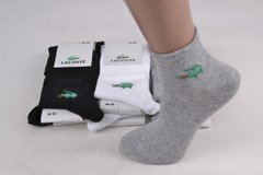 Жіночі шкарпетки "Lacoste" Cotton (Арт. Y512/1) | 12 пар
