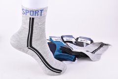 Шкарпетки підліткові "Золото" Sport ХЛОПОК (Арт. D331/36-40) | 12 пар