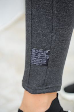 Спортивные штаны женские на флисе (Арт. KL378/N/Graphite)